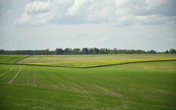 Valstybė gali paimti jūsų žemę: sužinokite, kada tai nutinka ir kodėl galite likti be savo sklypo