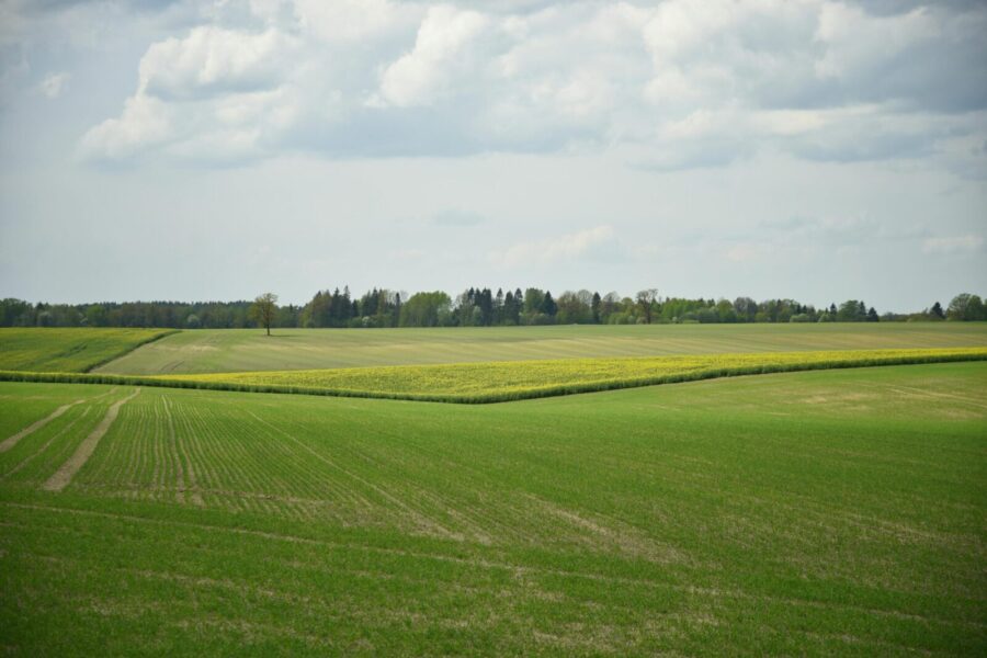 Expansive green fields stretch under a cloudy sky in Lithuania, offering a serene outdoor landscape.