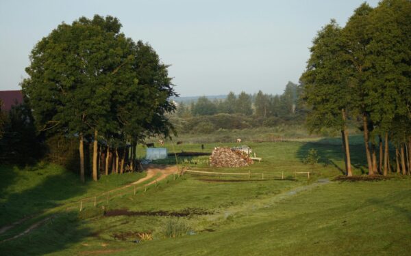 Sensacingas atradimas Lenkijoje: oloje atrasti neandertaliečių giminystės ryšiai, kurių niekas nesitikėjo