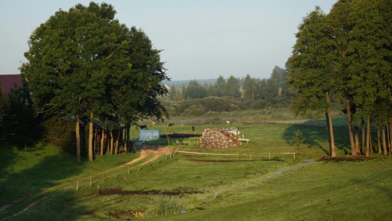 Sensacingas atradimas Lenkijoje: oloje atrasti neandertaliečių giminystės ryšiai, kurių niekas nesitikėjo