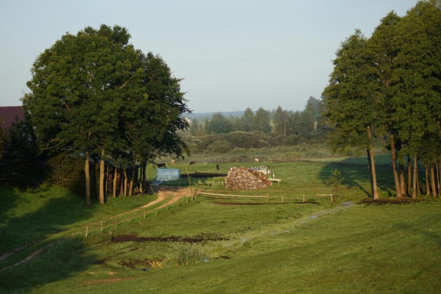 Sensacingas atradimas Lenkijoje: oloje atrasti neandertaliečių giminystės ryšiai, kurių niekas nesitikėjo