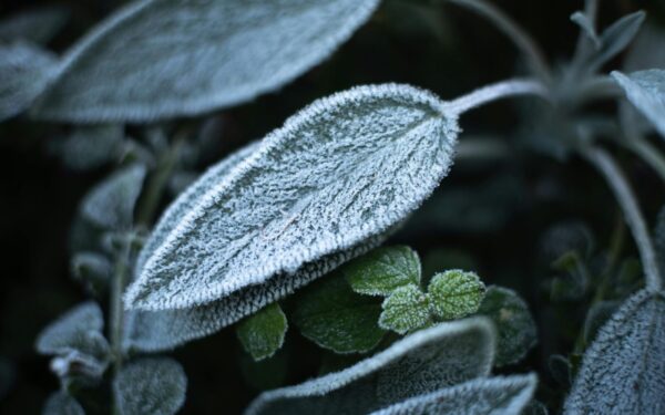 Sinoptikai siunčia kritinį įspėjimą: šios savaitės orai gali pridaryti problemų