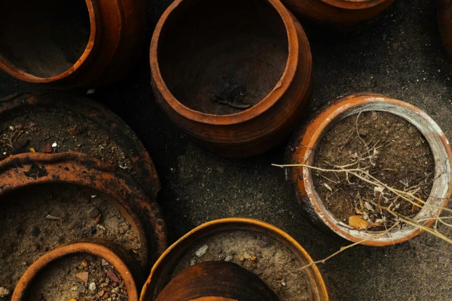 Senas substratas dar gali duoti derlių: naudotą žemę galima prikelti per kelias minutes