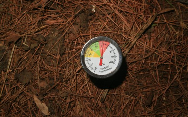 Bulvių auginimo pagrindai: sodinimo ir priežiūros gairės, kaip išvengti klaidų ir užauginti daugiau