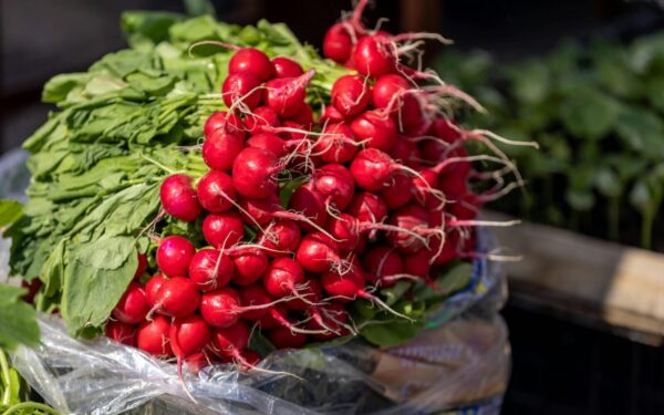 Ridikėliai mityboje: ekspertai atskleidžia, kaip jie veikia virškinimą ir cukraus kontrolę