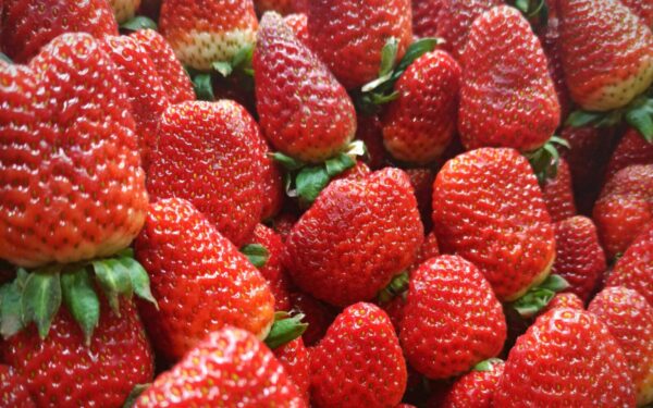 Braškių lysvė: sužinokite, kokie augalai padeda išlaikyti drėgmę ir apsaugo nuo kenkėjų