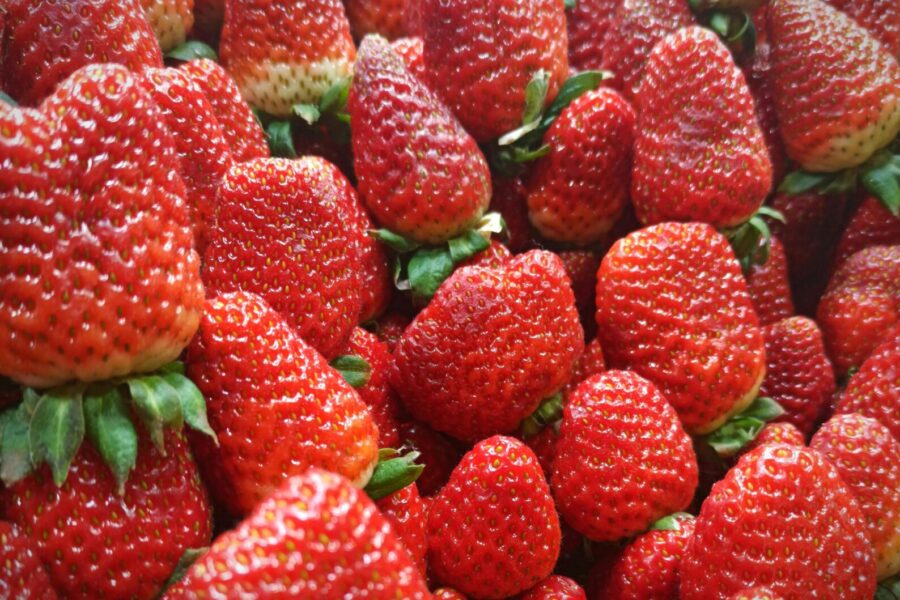 Braškių lysvė: sužinokite, kokie augalai padeda išlaikyti drėgmę ir apsaugo nuo kenkėjų