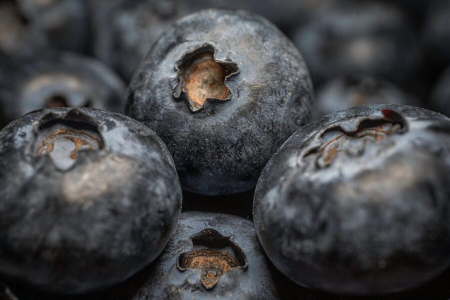 Šilauogių priežiūra: paprasti, bet veiksmingi patarimai, kaip išauginti didesnes ir saldesnes uogas