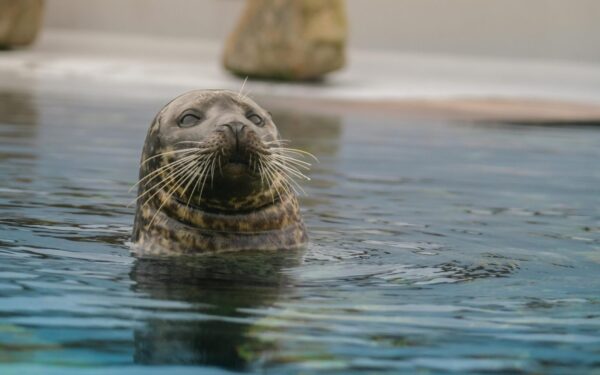 Turi gerą idėją? Gali ją paversti 50 eurų prizu – dalyvauti paprasčiau nei manai