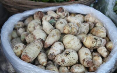 Sotus, švelnus ir universalus: sužinokite, koks produktas sparčiai populiarėja Lietuvoje