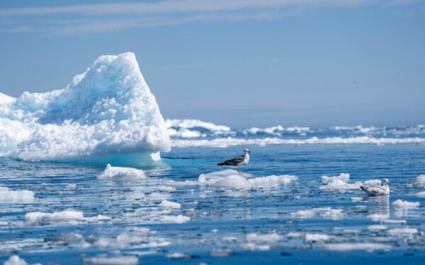 Atradimas Arktyje nustebino net mokslininkus, paaiškėjo, kad tai turi įtakos net ir debesims