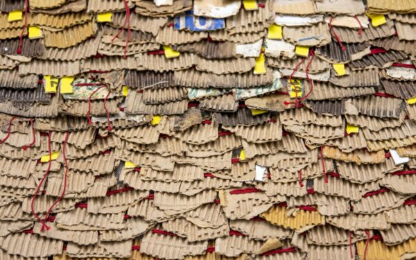 Gudrybė, kuri gali išgelbėti jūsų derlių: sužinokite, kaip sumažinti vaismedžių kenkėjus be chemijos