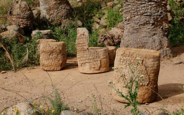 Šokiruojantis atradimas Korėjoje: naujas DNR tyrimas atskleidė netikėtus socialinius ryšius