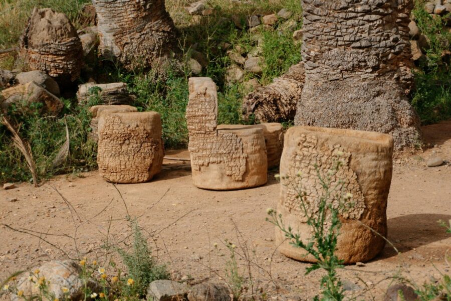 Šokiruojantis atradimas Korėjoje: naujas DNR tyrimas atskleidė netikėtus socialinius ryšius
