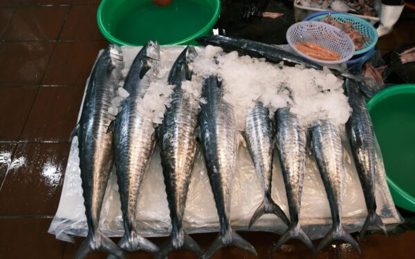 Ši žuvis slepia daugiau nei atrodo: sužinokite, kodėl vis daugiau žmonių renkasi gladicę