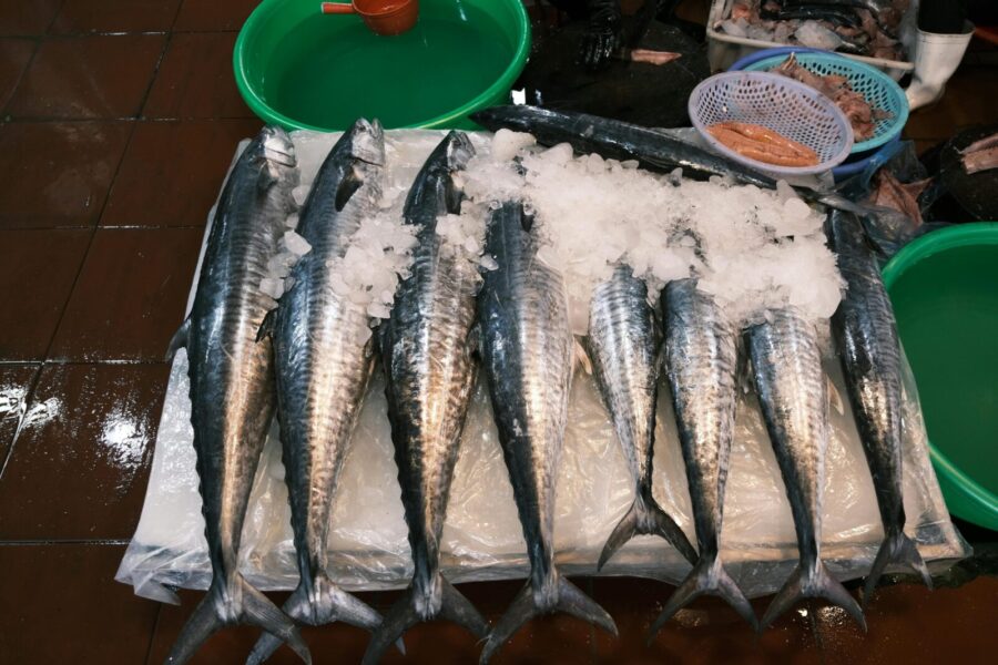 Ši žuvis slepia daugiau nei atrodo: sužinokite, kodėl vis daugiau žmonių renkasi gladicę