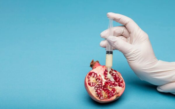 Demografijos krizė verčia ieškoti sprendimų: ar pasirinktos priemonės išspręs problemą?