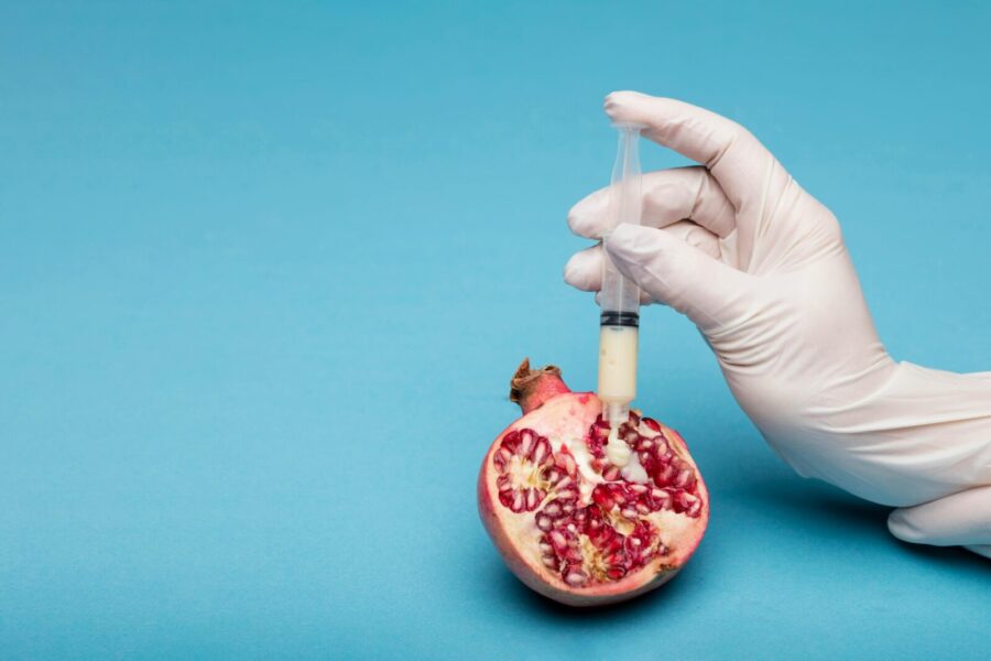 Creative representation of genetic modification with a syringe injecting a pomegranate.