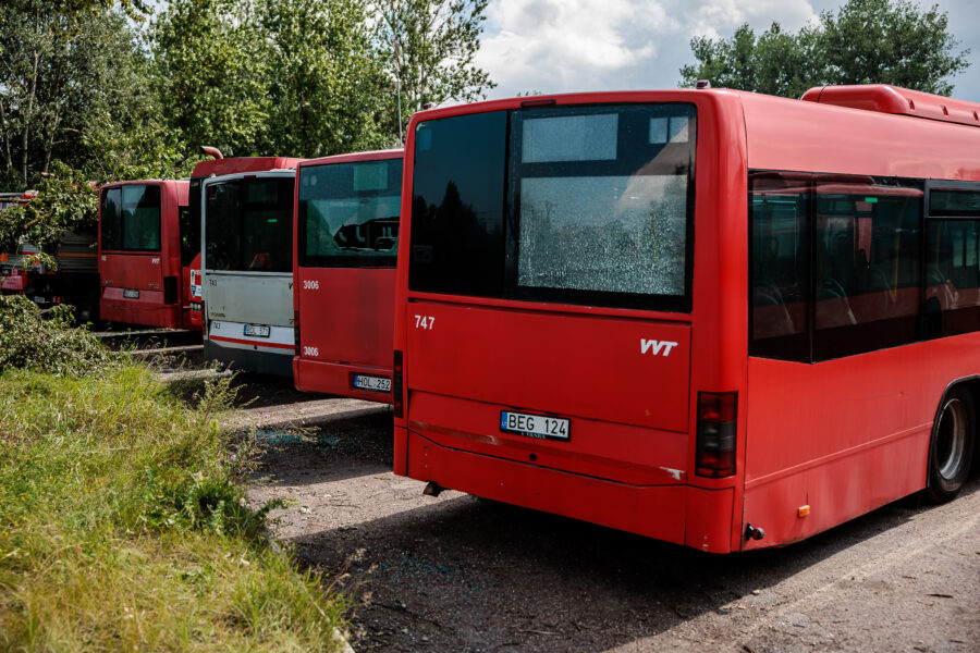 Autobusai. ELTA / Josvydas Elinskas