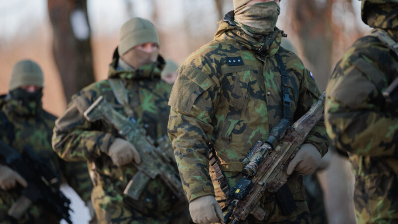 Kariuomenė įspėja šalies gyventojus: girdėsis šūviai ir sraigtasparniai, ragina išlikti ramiais