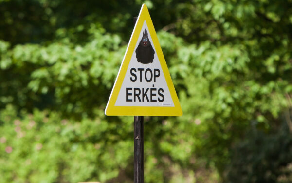 Reaguoti privalu turintiems šią kraujo grupę: erkės kelia didžiulę grėsmę, kaip apsisaugoti?