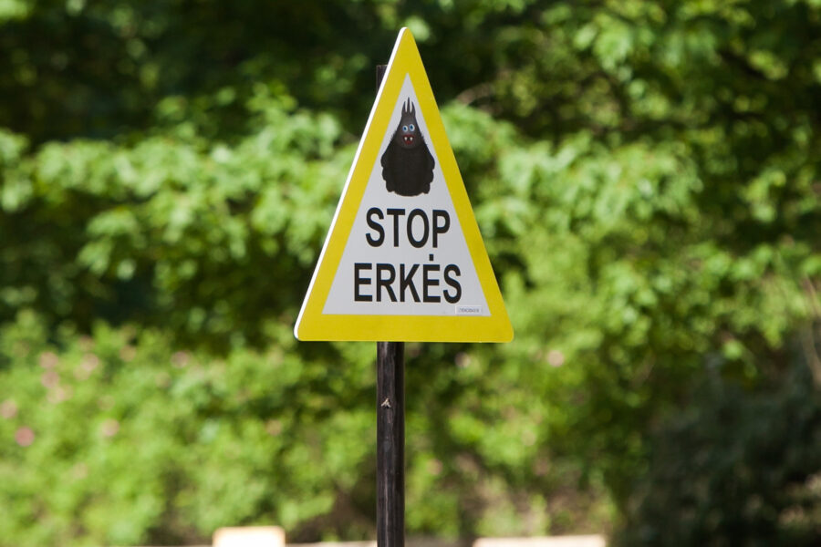 Įspėjimas. Dainiaus Labučio (ELTA) nuotr.