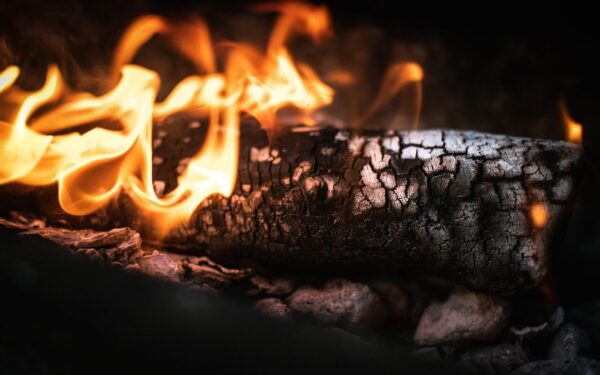 Žiaurumas, kuris sukrečia: teismui perduota byla, kurioje auka mirė itin skaudžia mirtimi