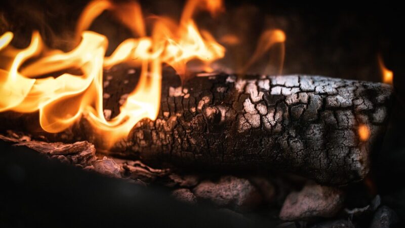 Žiaurumas, kuris sukrečia: teismui perduota byla, kurioje auka mirė itin skaudžia mirtimi