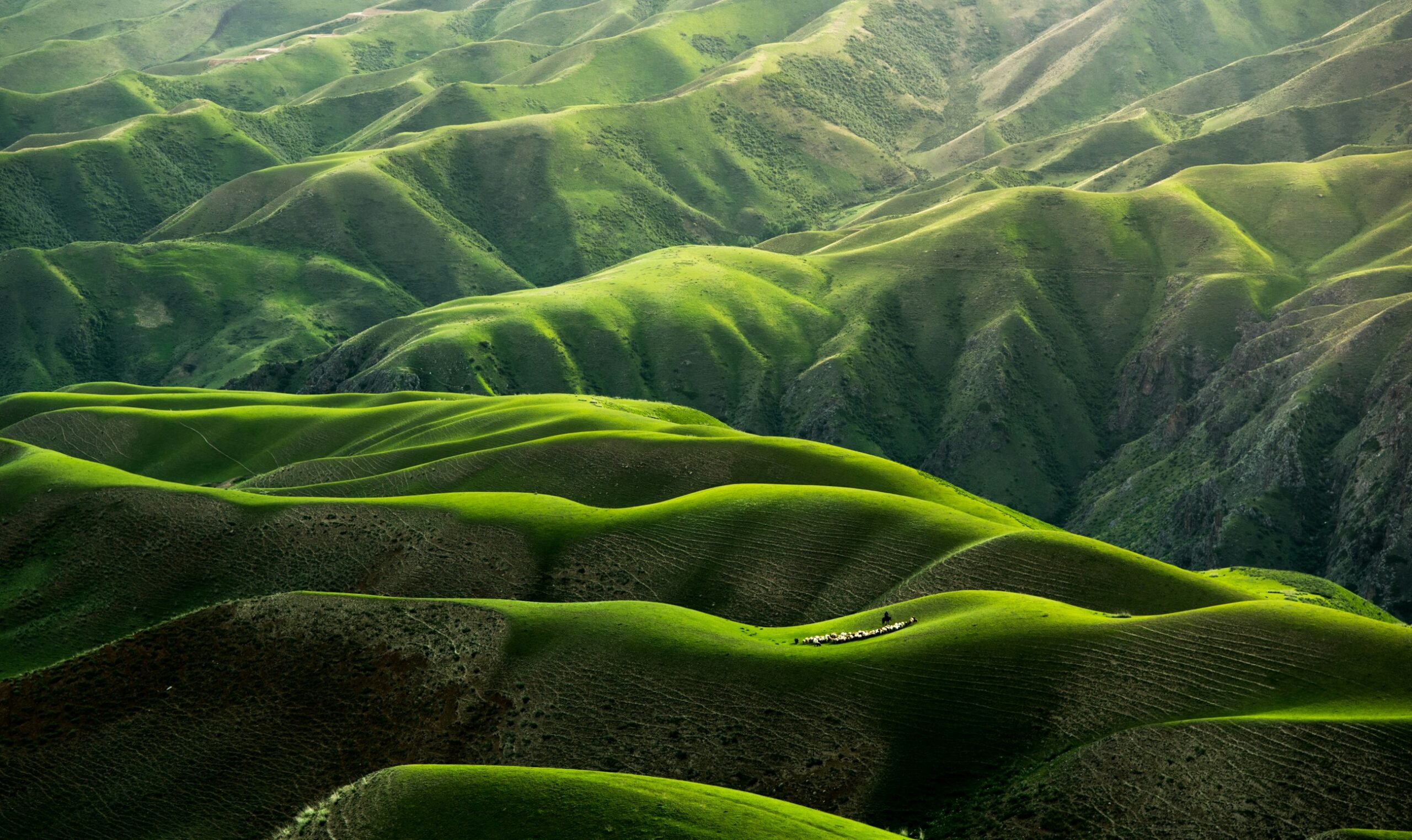 unsplash-01_igFr7hd4.jpg