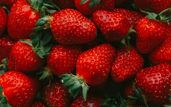 Braškių skonis priklauso nuo dirvos: kavos tirščiai gali padėti joms derėti gausiau