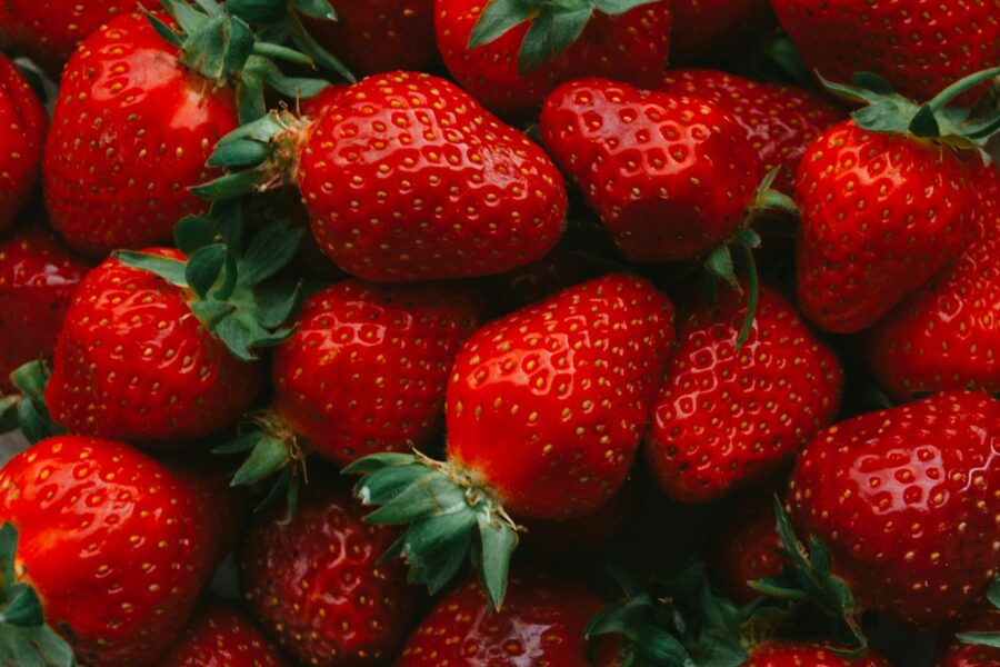 Braškių skonis priklauso nuo dirvos: kavos tirščiai gali padėti joms derėti gausiau