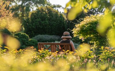 Pavasarinė vejos priežiūra: sužinokite, kokius darbus reikia atlikti jau balandžio mėnesį