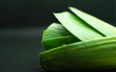 Paprastas produktas, didelė nauda: sužinokite, kuo poras naudingas virškinimui ir sotumo jausmui