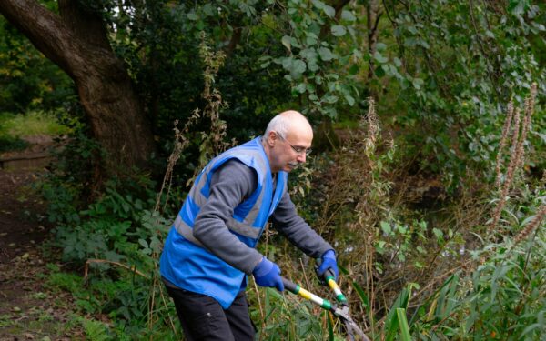 Nuo komposto iki tvarkingo kiemo: patarimai, kaip naudingai panaudoti nugenėtas šakas