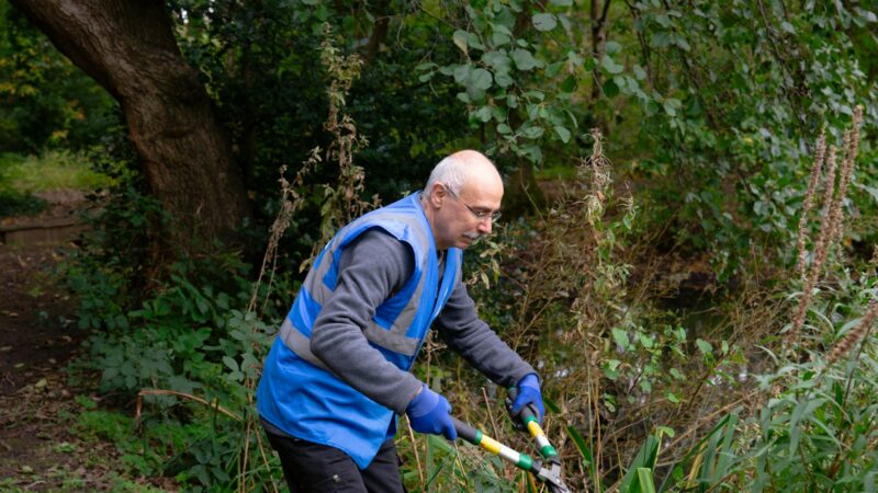 Nuo komposto iki tvarkingo kiemo: patarimai, kaip naudingai panaudoti nugenėtas šakas