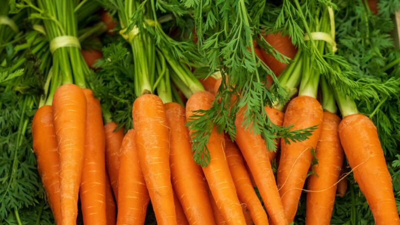 Atrodė smulkmena, bet sugadino derlių: patarimai, kada ir kaip sėti morkas, kad išvengtumėte klaidų