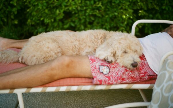 Ženklai, kurių negalima ignoruoti: ekspertai paaiškina, kada snaudimas gali būti pavojingas