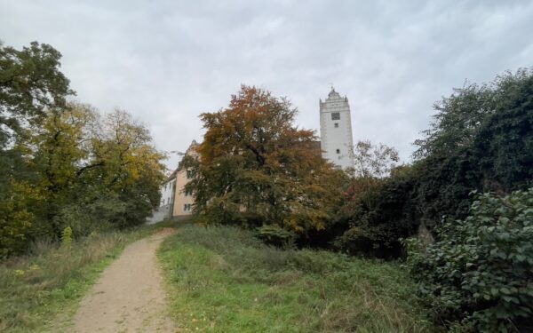 Saksonijoje aptikti unikalūs pilkapiai: sužinokite, ką jie atskleidė apie neolito žmones