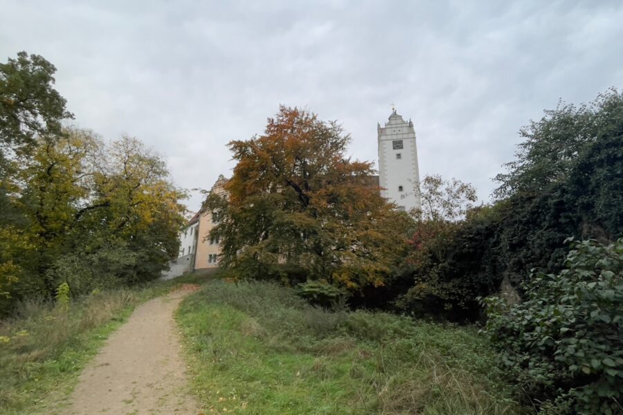 Saksonijoje aptikti unikalūs pilkapiai: sužinokite, ką jie atskleidė apie neolito žmones