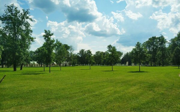 Pjauti, tręšti ir vertikuliuoti: vejos priežiūros darbų tvarka, kuri lemia viso sezono rezultatą