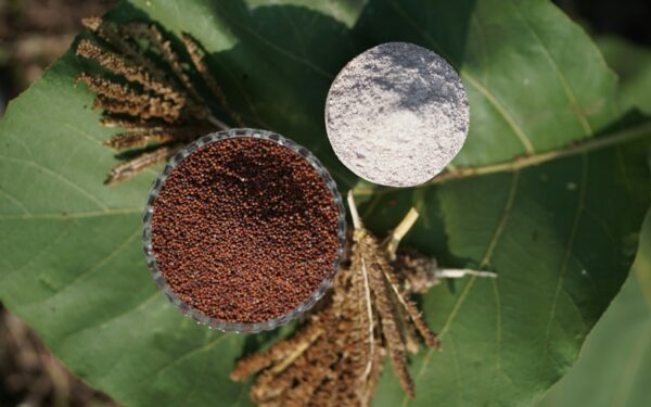 Be glitimo ir kupini maistinių medžiagų: patarimai, kaip naudoti ragi miltus virtuvėje