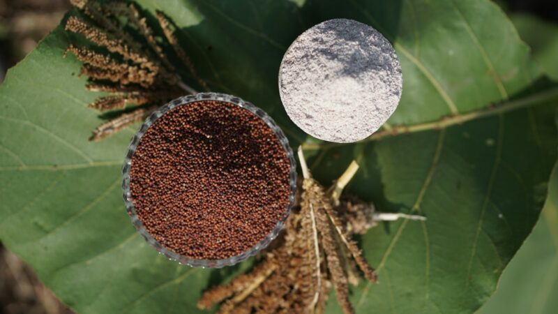 Be glitimo ir kupini maistinių medžiagų: patarimai, kaip naudoti ragi miltus virtuvėje