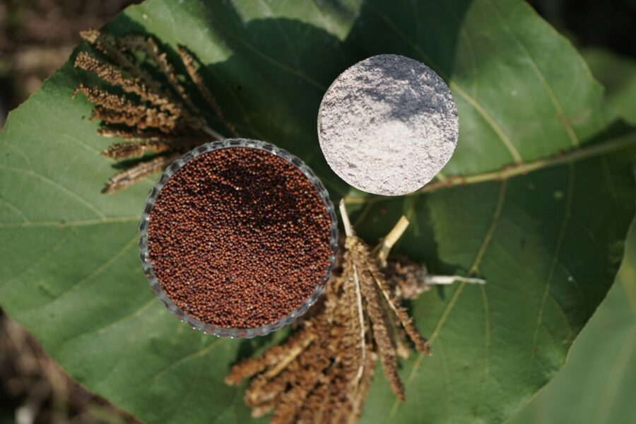 Be glitimo ir kupini maistinių medžiagų: patarimai, kaip naudoti ragi miltus virtuvėje