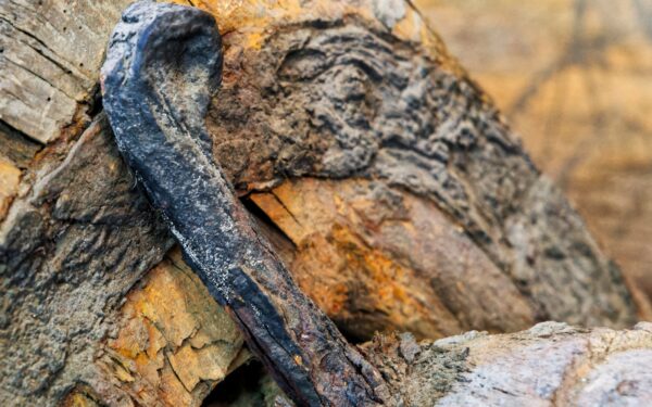 Sensacingas radinys Šveicarijoje: po nuosėdomis aptiktas beveik nepažeistas akmens amžiaus kirvis