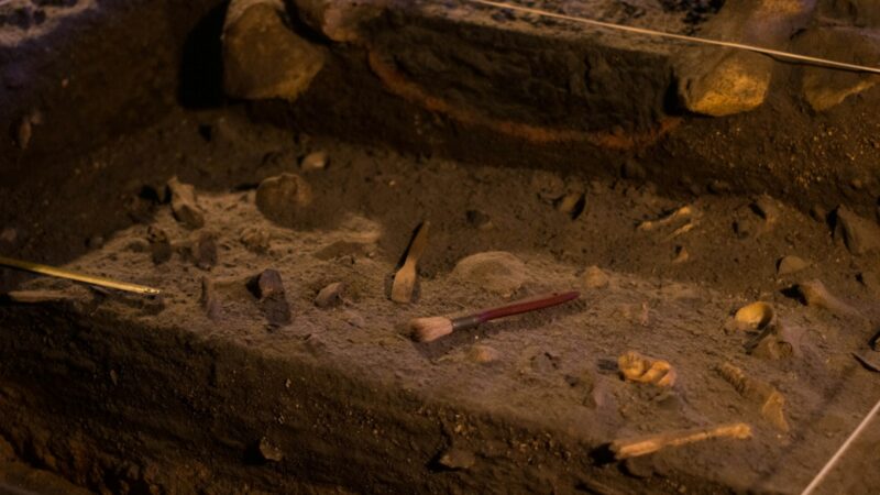 Mokslininkai atskleidė netikėtas detales: dantiraščio tekstai keičia istorijos supratimą
