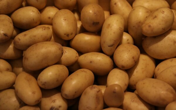 Jaunų bulvių receptai: paprasti patarimai, kaip išvirti, ir kepti, kad jos neprarastų skonio