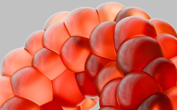 Svarbiausi mitybos ir gyvenimo būdo pokyčiai: gydytojų patarimai, kaip sumažinti cholesterolį