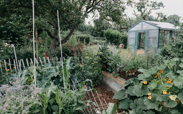 Sodo genėjimas pavasarį: sužinokite, kurie augalai atsidėkos, o kurie gali nukentėti