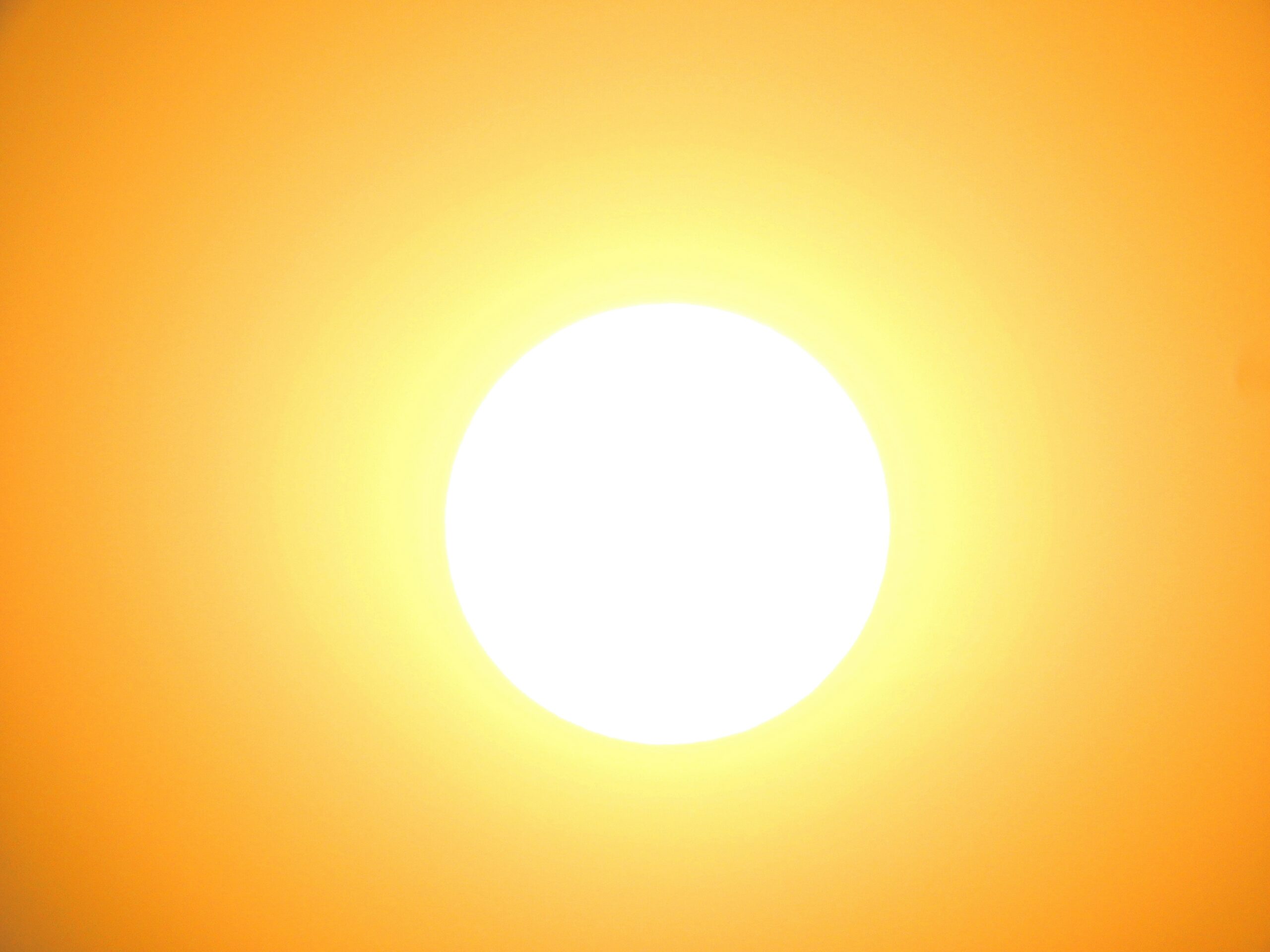 unsplash-i4QIqfcTkN8.jpg
