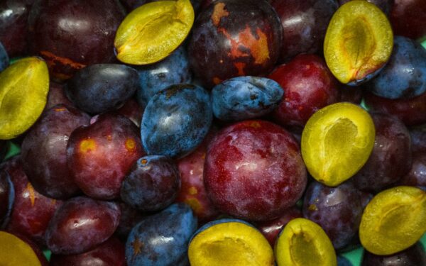 Viena klaida leidžia kenkėjams daugintis be kontrolės: šis pigus sprendimas padės apsaugoti slyvas